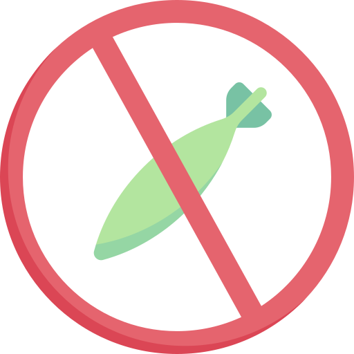 No bomb